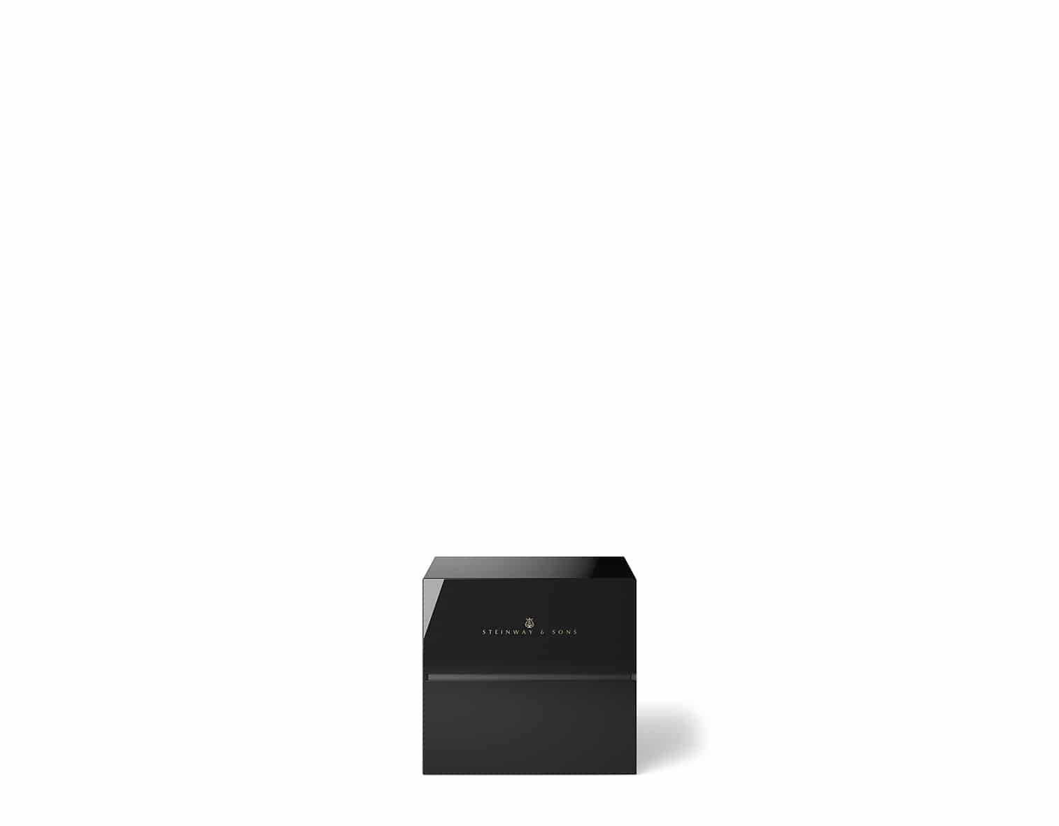 Steinway & Sons Model M bw
