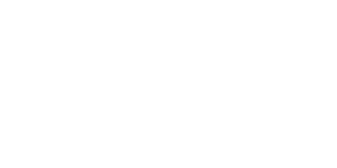 FULLY DIGITAL SYSTEMS