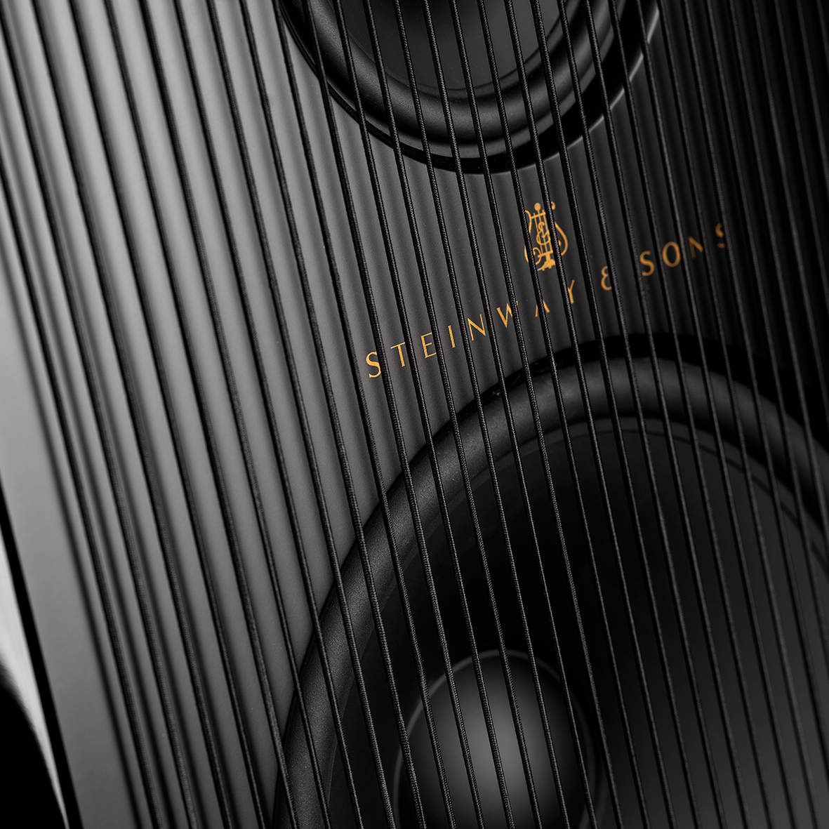 İki Adet Büyük ve Güçlü Woofer