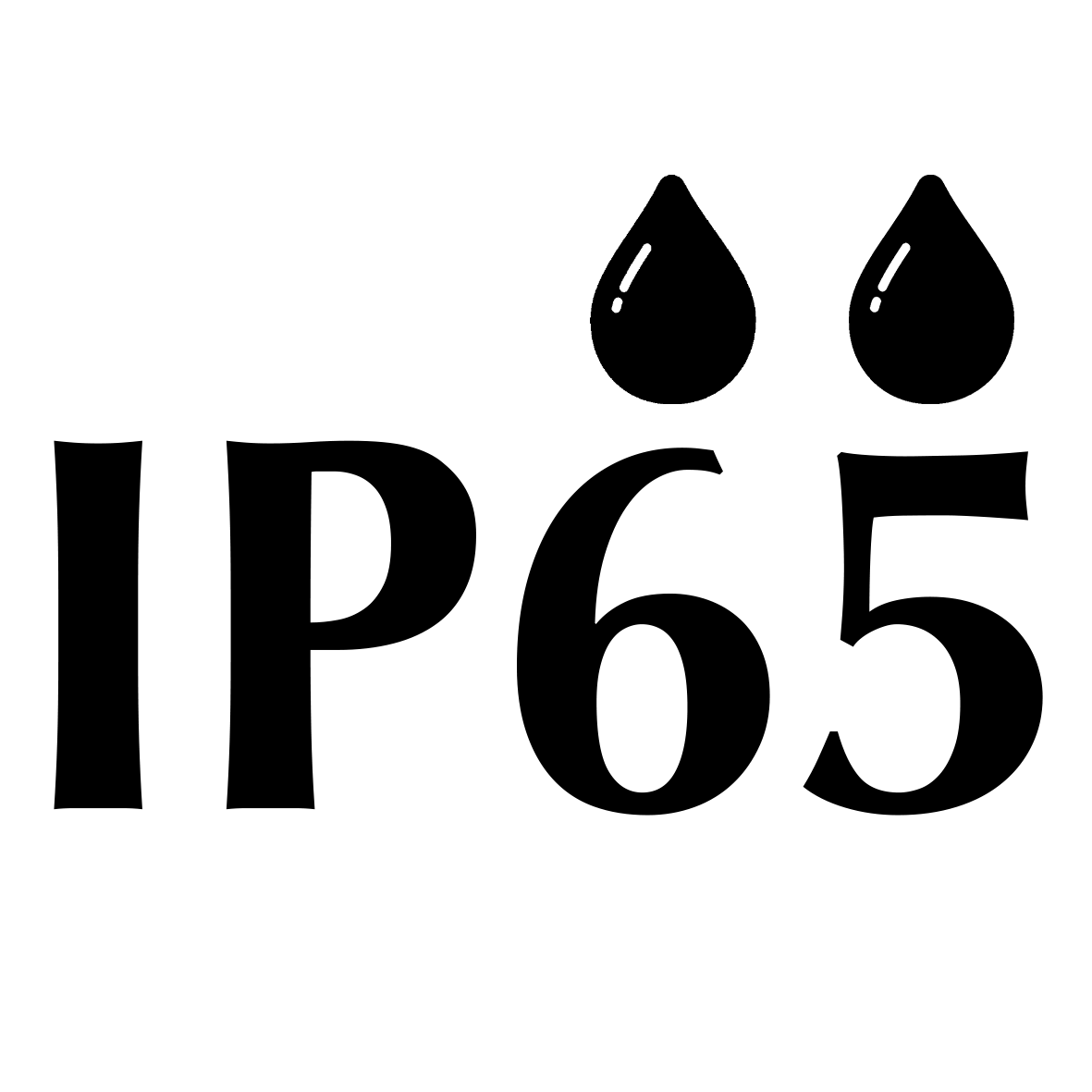 IP65 Dust and Water Protection Rating